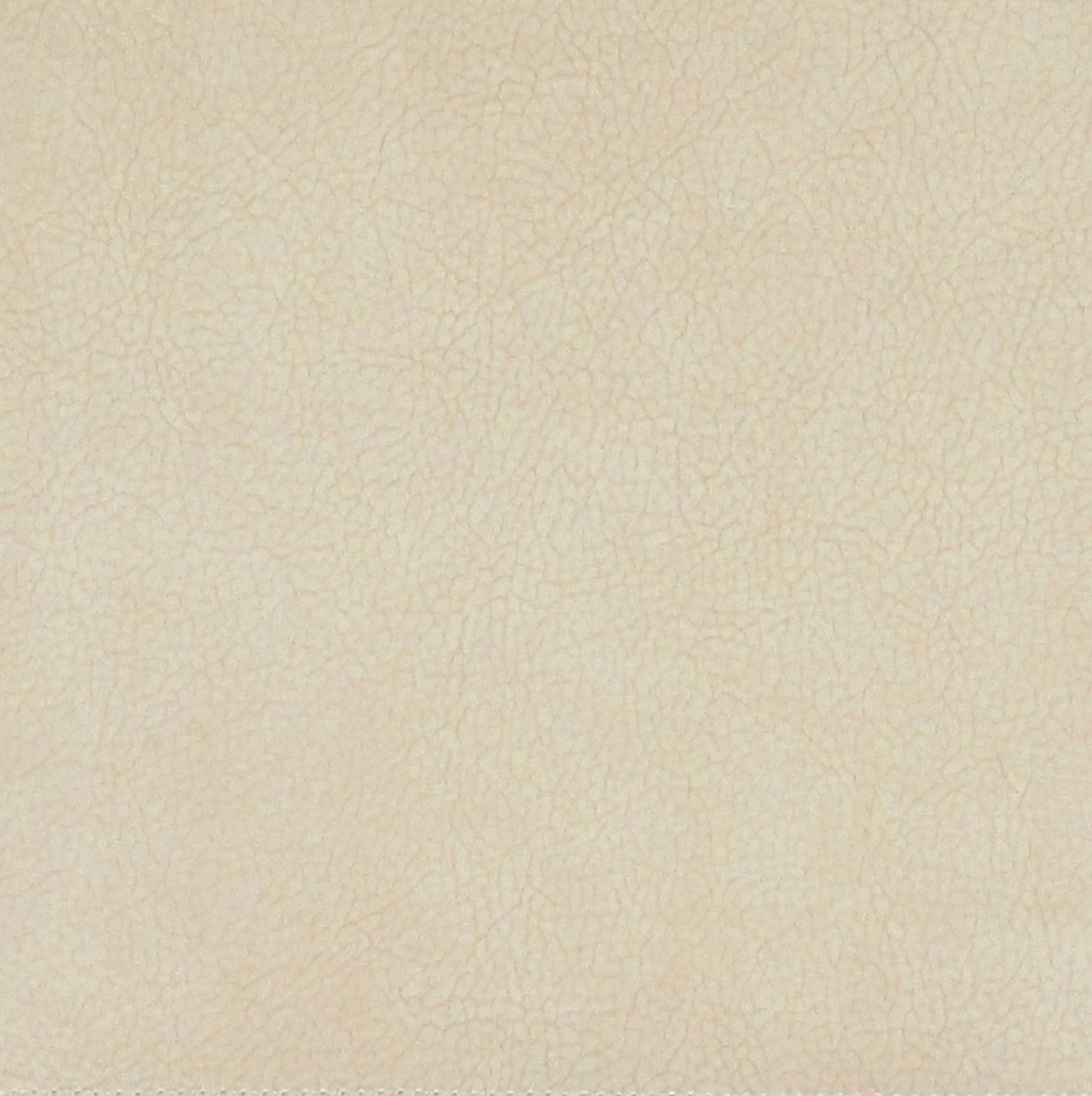 SCALAMANDRE  GEORGIA SUEDE FABRIC MACADAMIA   - H6 37435937