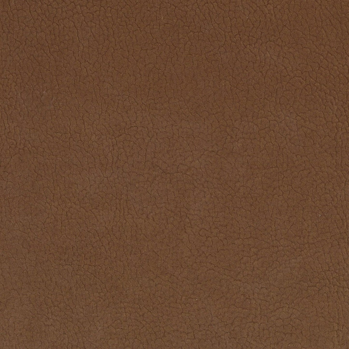 SCALAMANDRE  GEORGIA SUEDE FABRIC CARIBOU   - H6 37495937