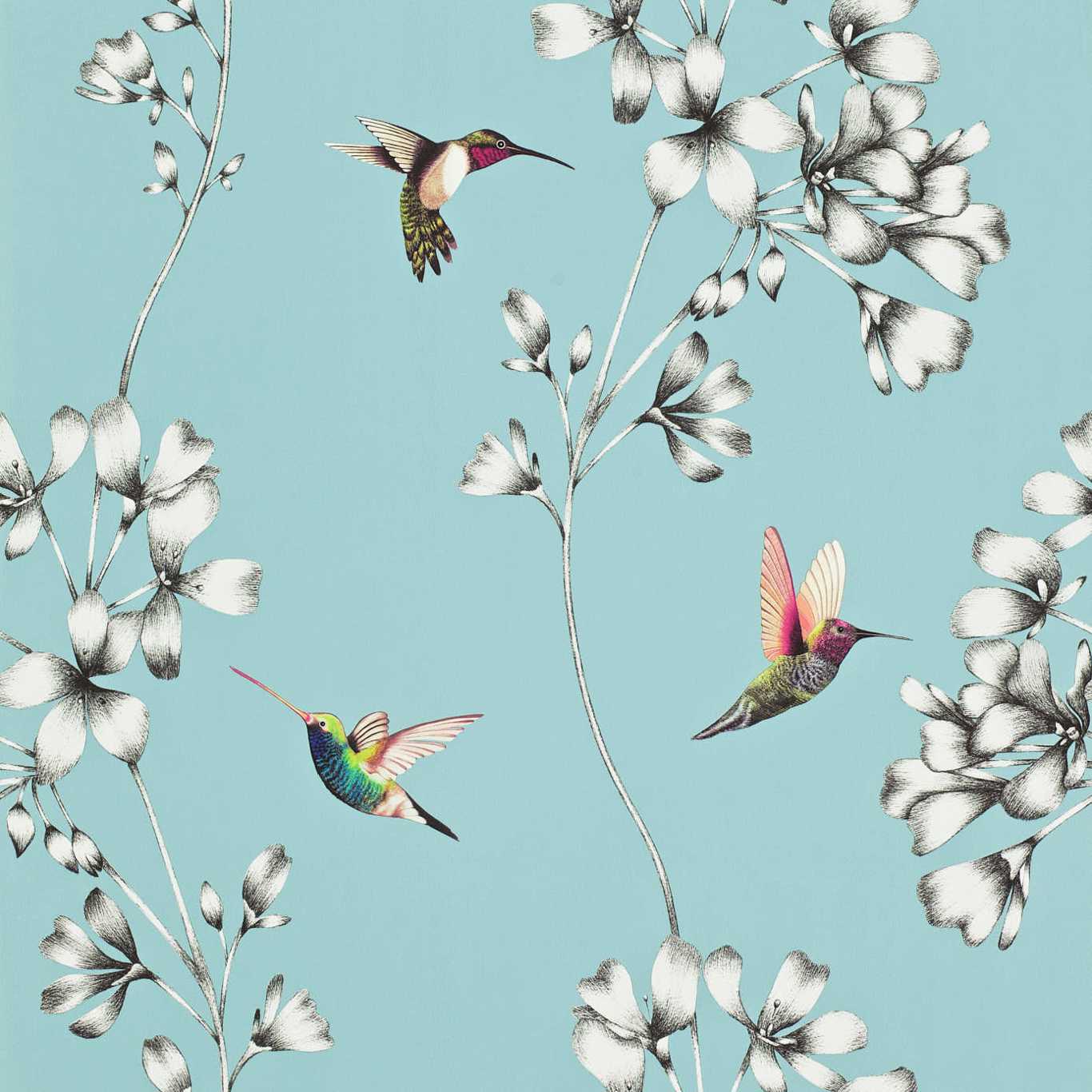 HARLEQUIN Amazilia Wallpaper Contemporary, Floral Sky  Gravure Printed Wallpaper - HAMA111060