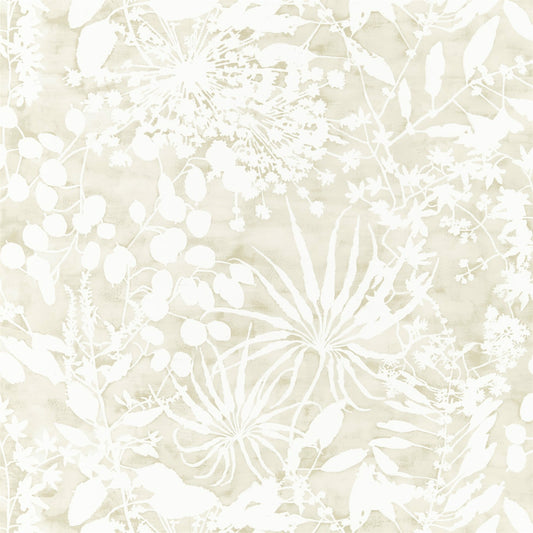 HARLEQUIN OUTLET Coralline  Wallpaper Leaves , Trees Pebble   - HANZ111638