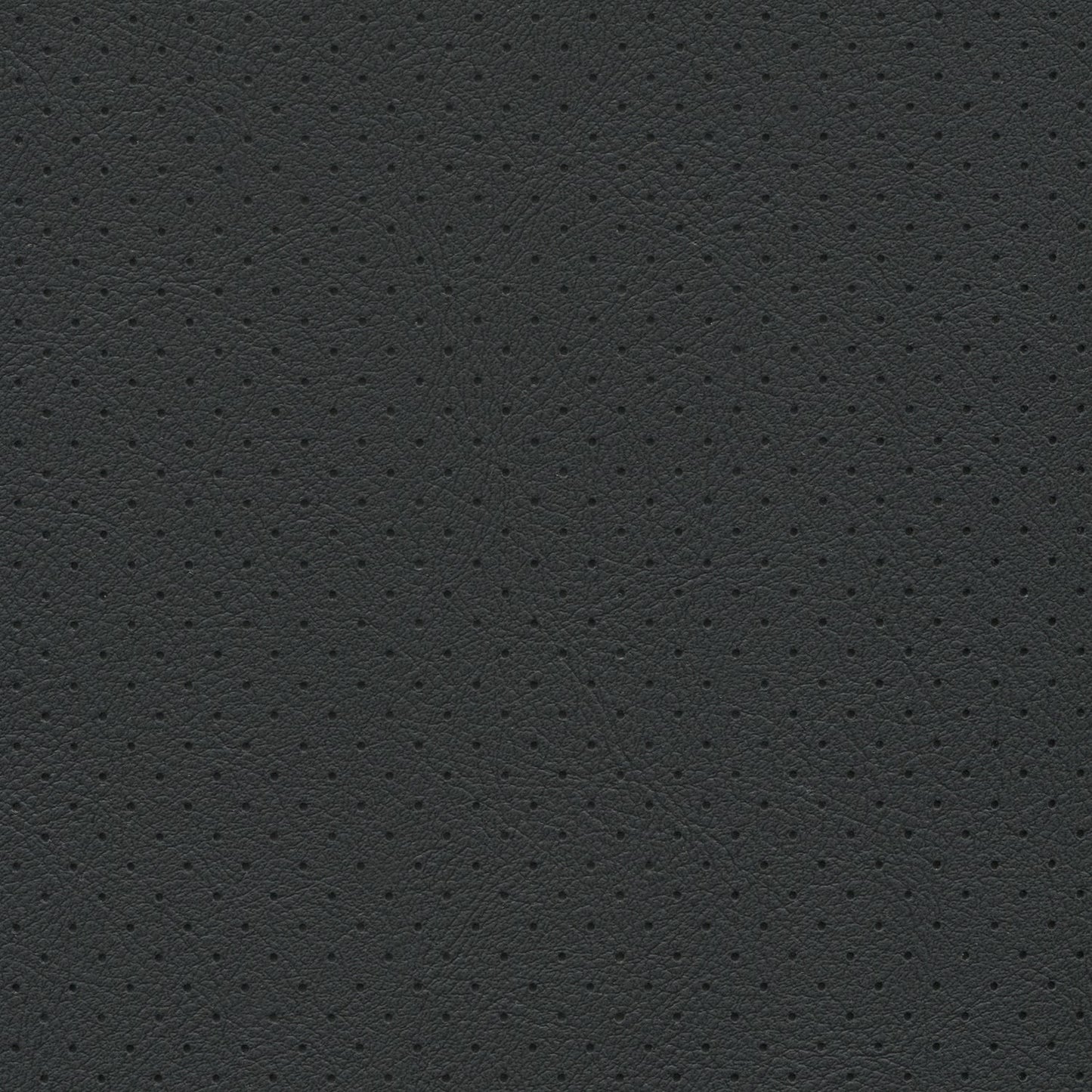 Close-up of ebony perforated fabric texture with tiny round holes, automotive upholstery style.