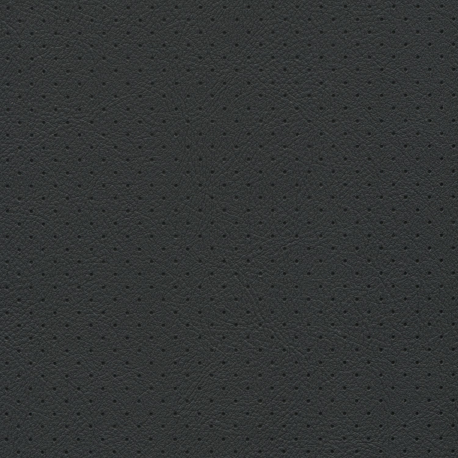 Close-up of ebony perforated fabric texture with tiny round holes, automotive upholstery style.