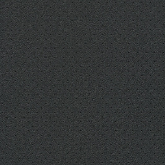 NICHOLASJOHN INC NJ-HAMP Ebony    Fabric - NJ25-1482