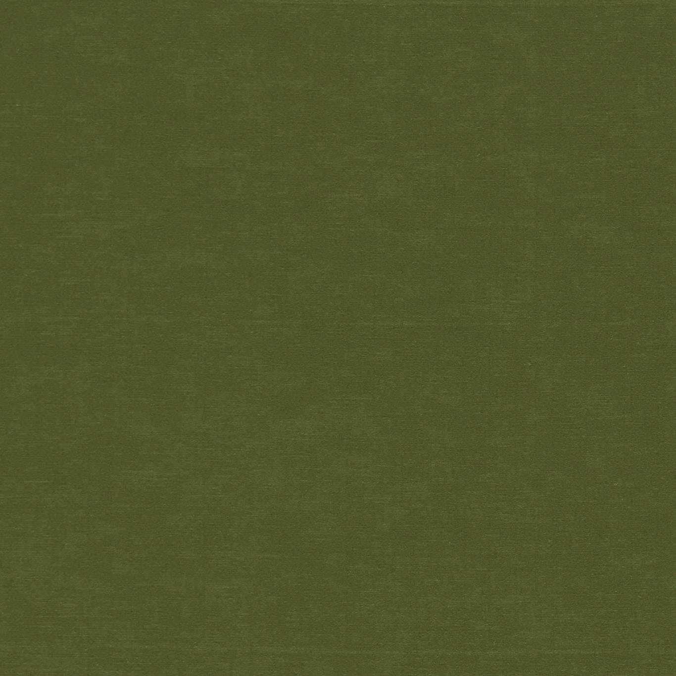 HARLEQUIN Ario Fabric Plains , Textures Fern   - HARO134448