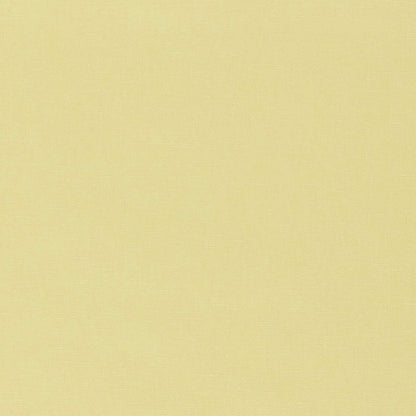 HARLEQUIN Ario Fabric Plains , Textures Buttermilk   - HARO134450