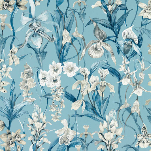 HARLEQUIN Kalina Wallpaper Contemporary, Floral Celestial,Murmuration,Awakening  Gravure - Wide Width Printed Wallpaper - HC4W113008