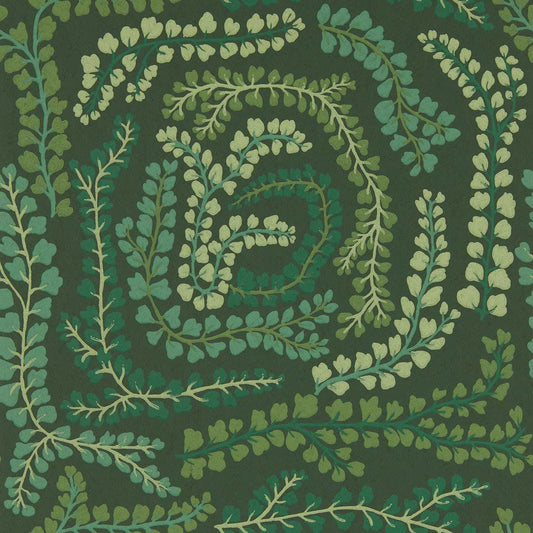 HARLEQUIN Fayola Wallpaper Leaves , Trees FigLeaf,Clover  Surface- Printed Wallpaper - HC4W113019