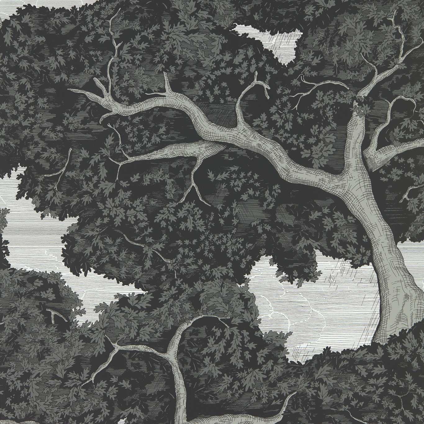 HARLEQUIN Eternal Oak Wallpaper Landscapes Ebony,FirstLight  Rotary Wide Width Printed Wallpaper - HC4W113040