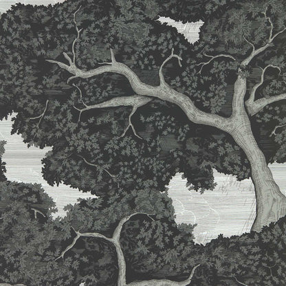 HARLEQUIN Eternal Oak Wallpaper Landscapes Ebony,FirstLight  Rotary Wide Width Printed Wallpaper - HC4W113040