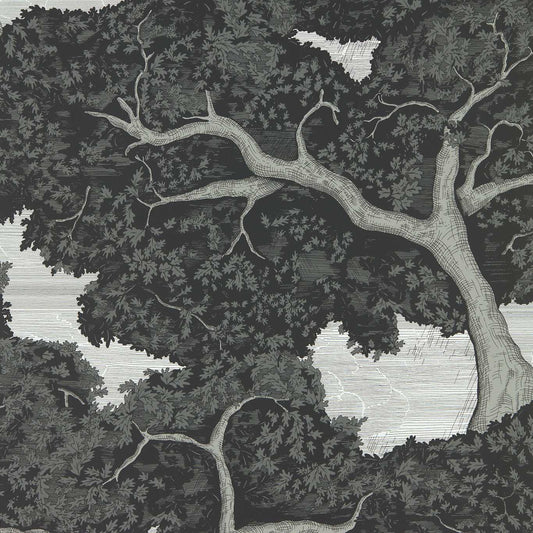 HARLEQUIN Eternal Oak Wallpaper Landscapes Ebony,FirstLight  Rotary Wide Width Printed Wallpaper - HC4W113040