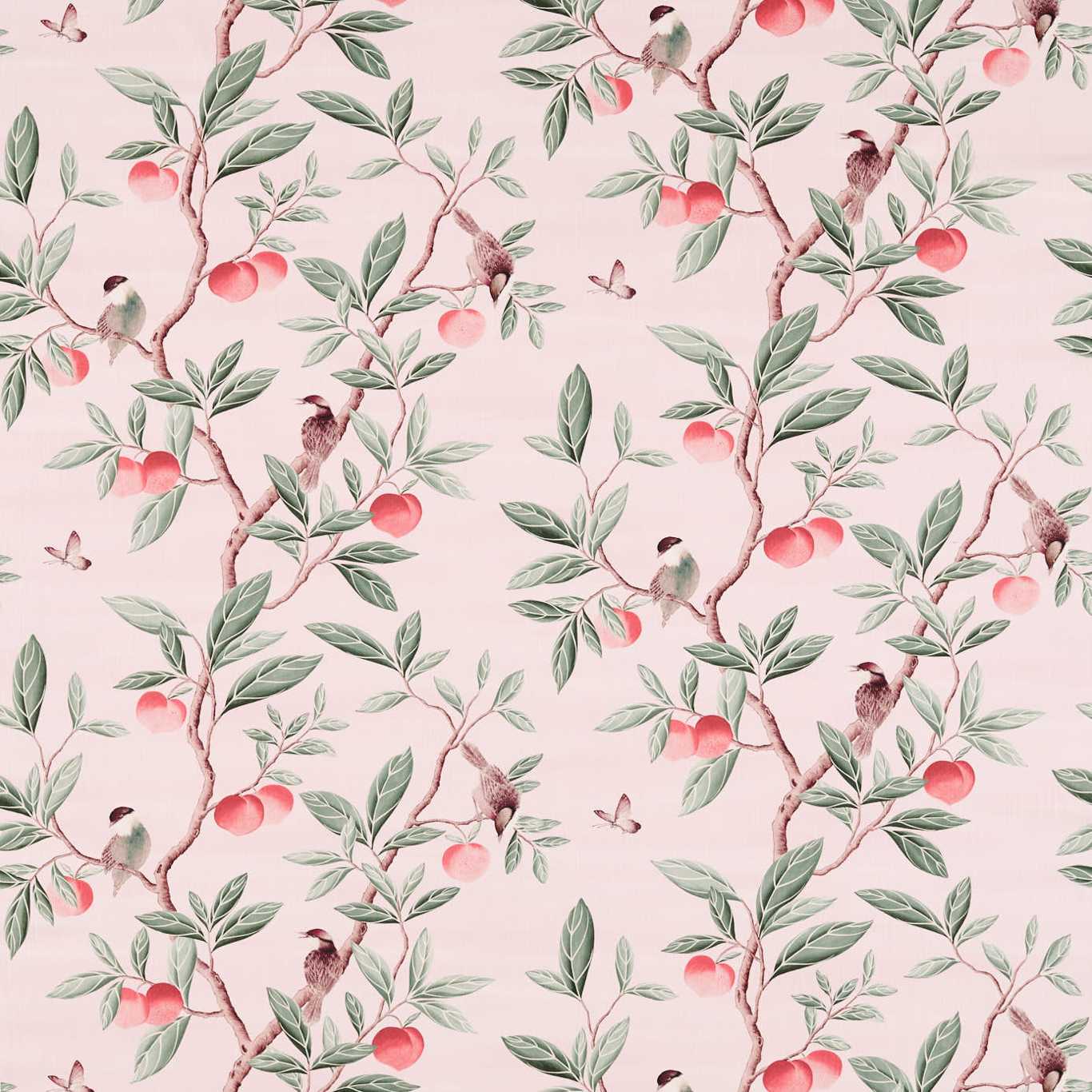 HARLEQUIN Ella Fabric Leaves , Trees Powder, Sage , Peach   - HDHP121112