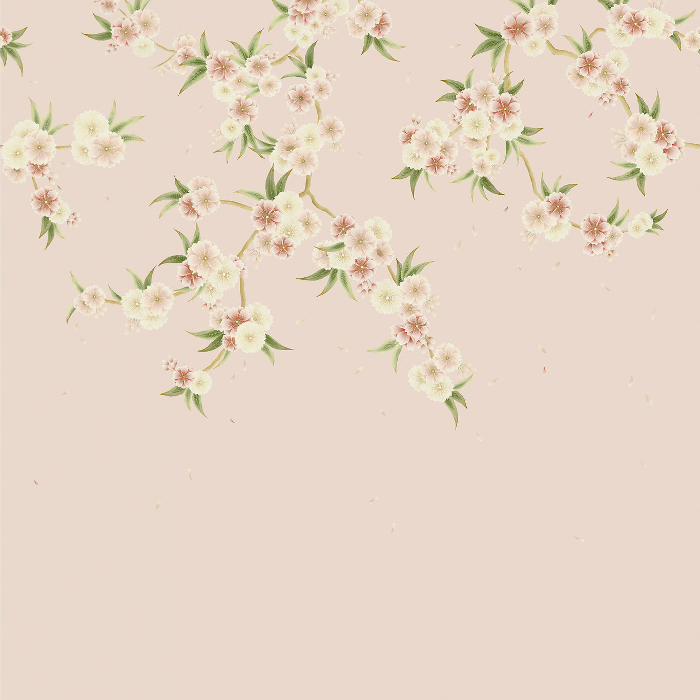 HARLEQUIN Rosa Wallpaper Contemporary, Floral Blush Pearl,Peony,Meadow  Digital Printed Wallpaper Wide Width - HDHW112887