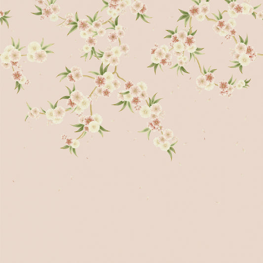 HARLEQUIN Rosa Wallpaper Contemporary, Floral Blush Pearl,Peony,Meadow  Digital Printed Wallpaper Wide Width - HDHW112887