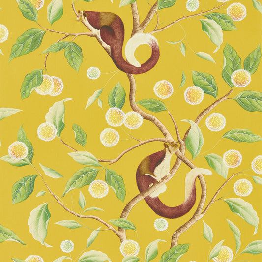 HARLEQUIN Nellie Wallpaper Leaves , Trees Honey,Meadow  Gravure - Wide Width Printed Wallpaper - HDHW112905