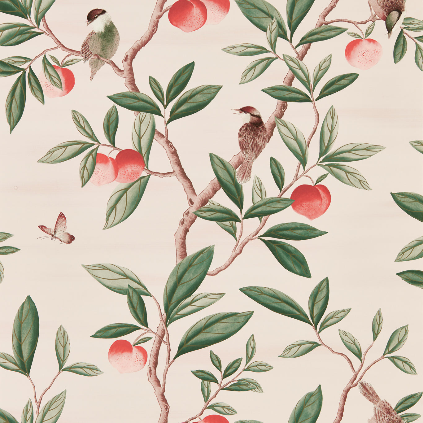 HARLEQUIN Ella Wallpaper Leaves , Trees Powder, Sage , Peach  Gravure - Wide Width Printed Wallpaper - HDHW112907