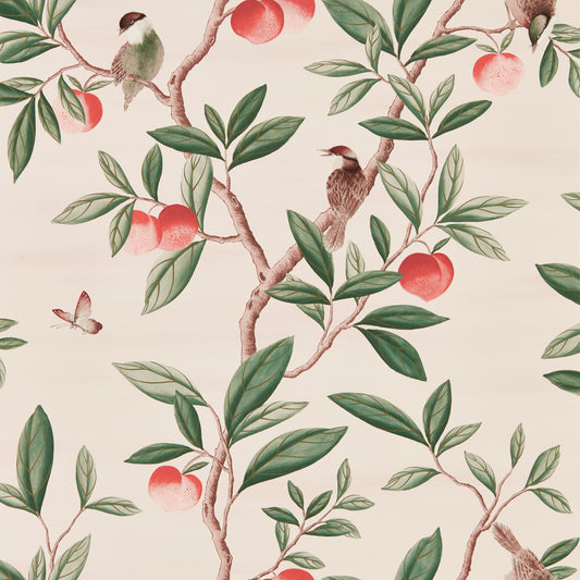 HARLEQUIN Ella Wallpaper Leaves , Trees Powder, Sage , Peach  Gravure - Wide Width Printed Wallpaper - HDHW112907