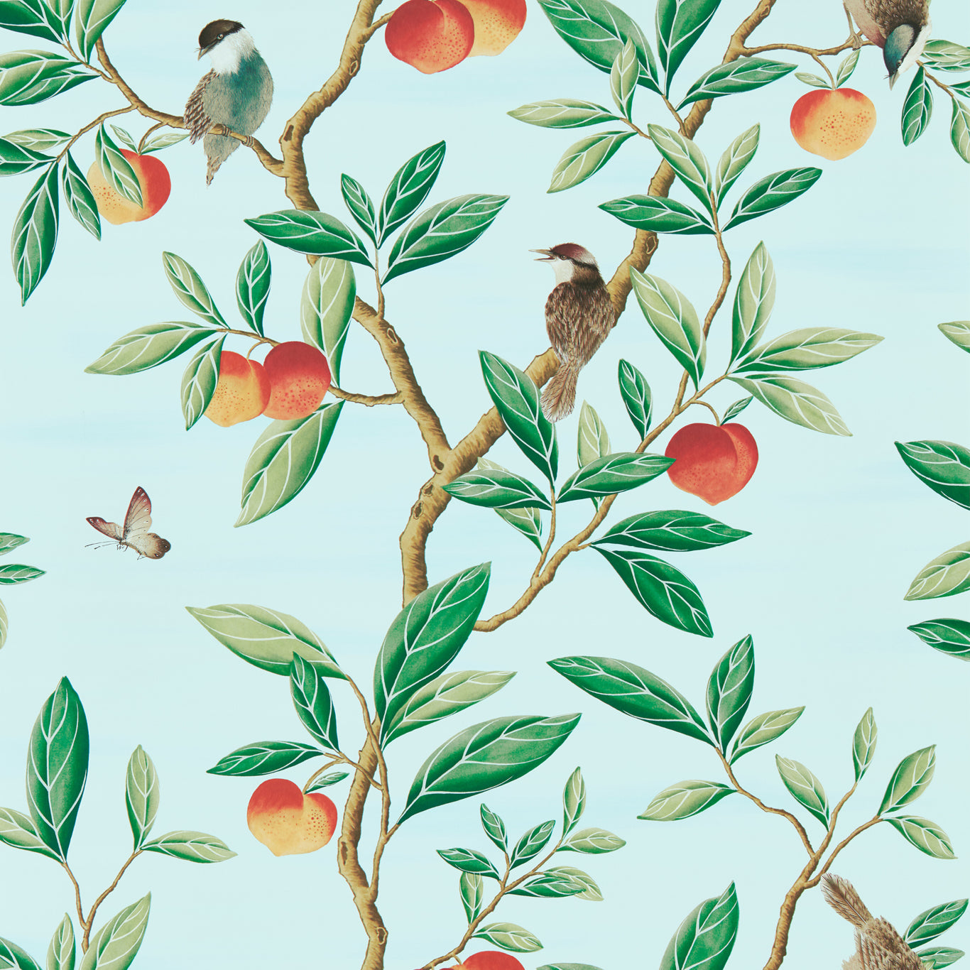 HARLEQUIN Ella Wallpaper Leaves , Trees Sky,Fig Leaf, Nectarine  Gravure - Wide Width Printed Wallpaper - HDHW112908