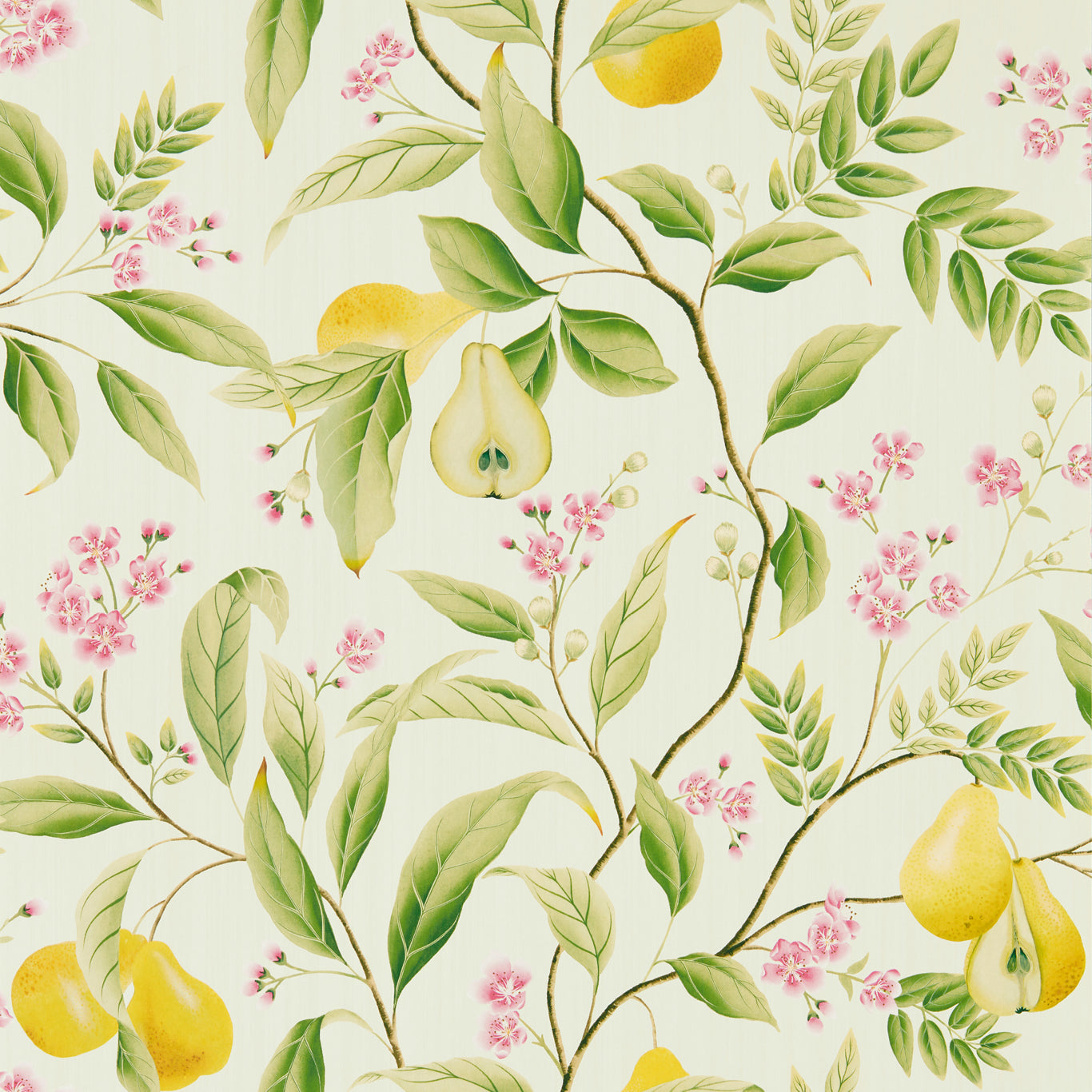 HARLEQUIN Marie Wallpaper Leaves , Trees Fig leaf,Honey,Blossom  Gravure - Wide Width Printed Wallpaper - HDHW112909