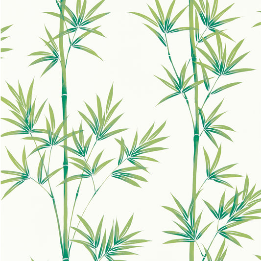 HARLEQUIN Isabella Wallpaper Leaves , Trees Porcelain,Bamboo  Rotary Printed Wallpaper - HDHW112915