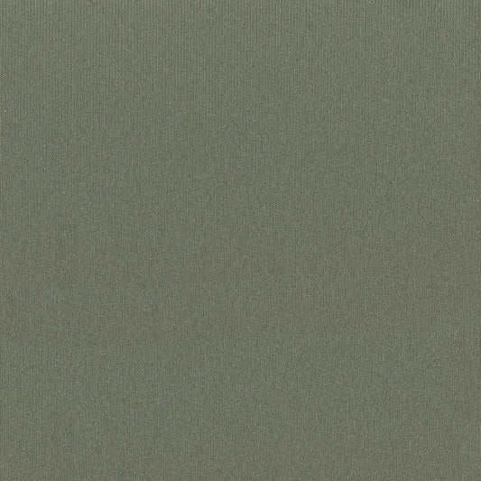 NICHOLASJOHN INC NJ-MANGINO Quicksilver Solid   Fabric - NJ25-1519