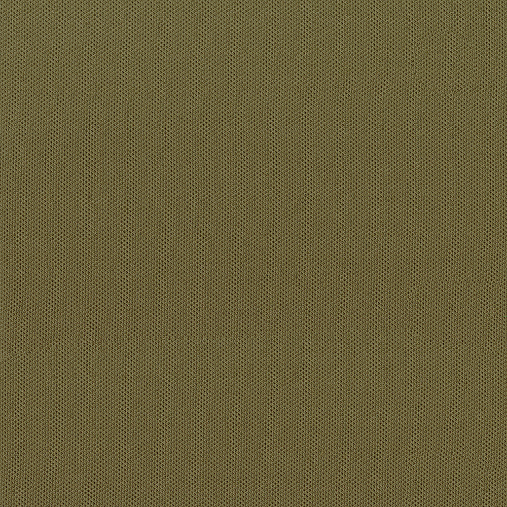 Olive-brown canvas fabric texture with tight weave; close-up view.