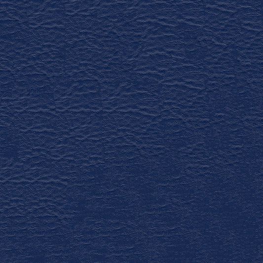 NICHOLASJOHN INC NJ-HIDI SM Blue Solid   Fabric - NJ25-1621