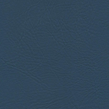 NICHOLASJOHN INC NJ-HIDI Blue    Fabric - NJ25-1611