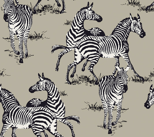 Playful-Zebras-Harry-&-Grace-Peel-and-Stick-HG11102