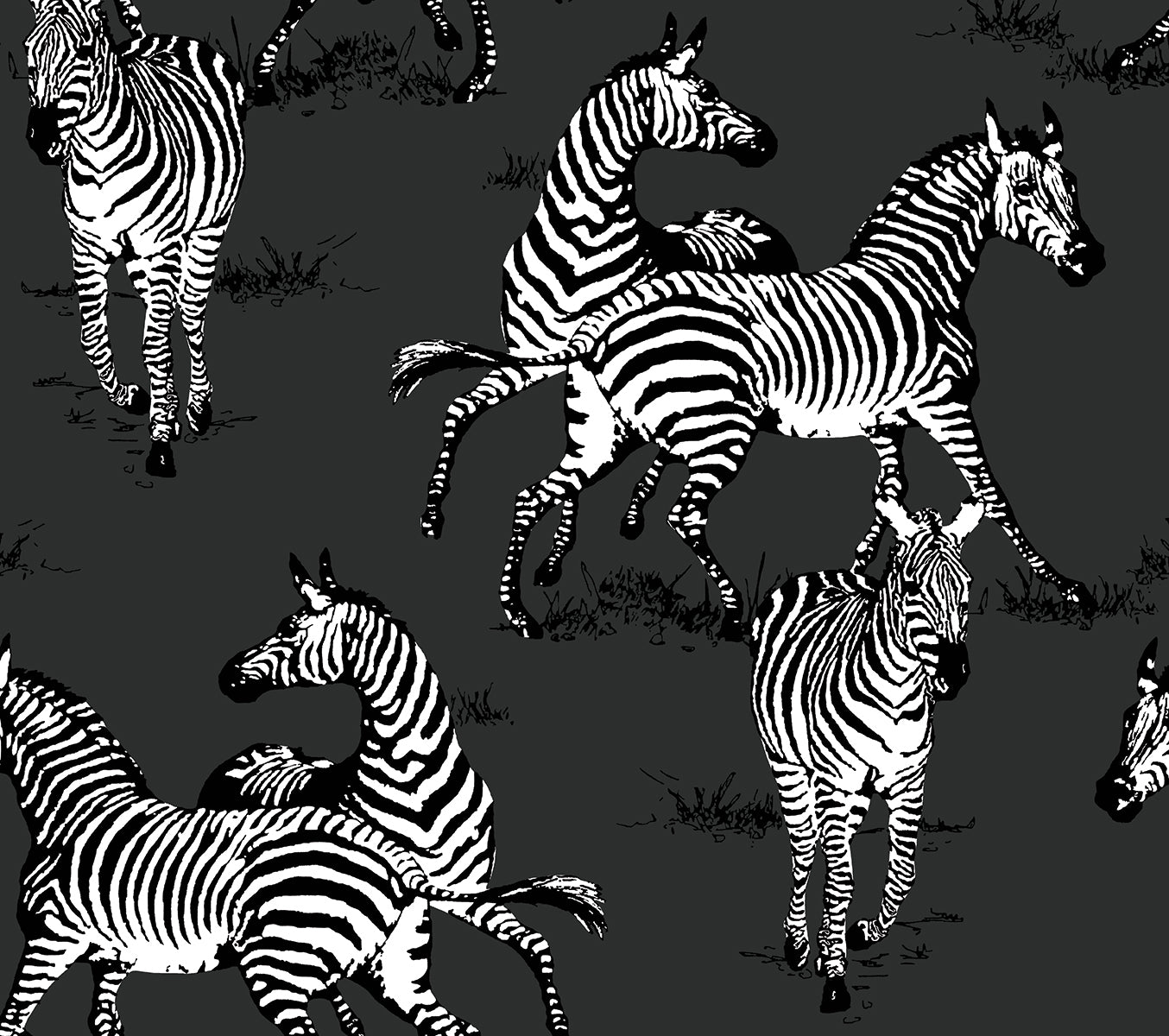 Playful-Zebras-Harry-&-Grace-Peel-and-Stick-HG11120