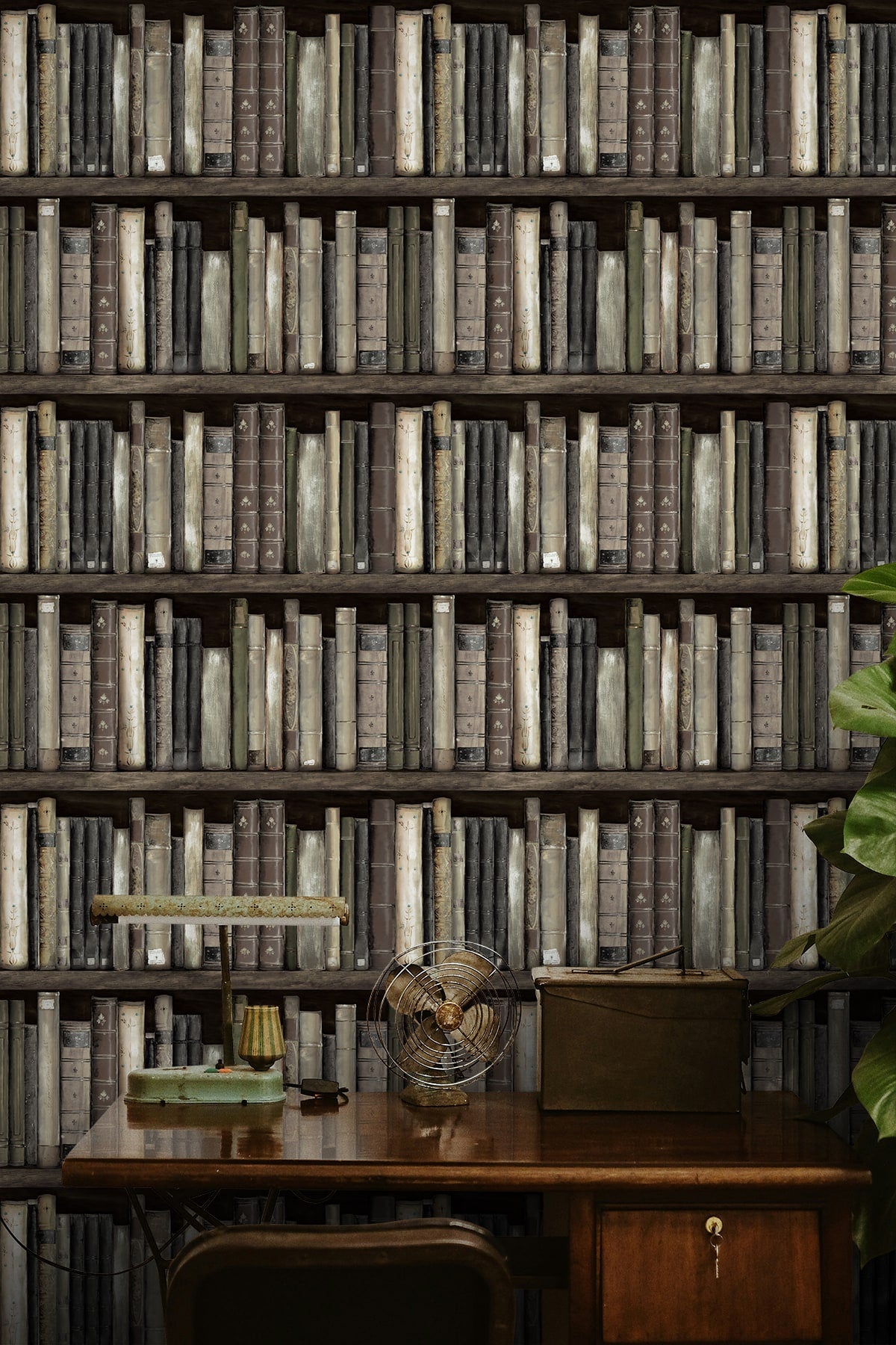 Harry & Grace  Faux Bookshelves Illustration Eclectic Brown   - HG13200