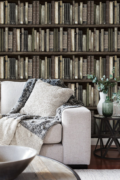 Harry & Grace  Faux Bookshelves Illustration Eclectic Brown   - HG13200