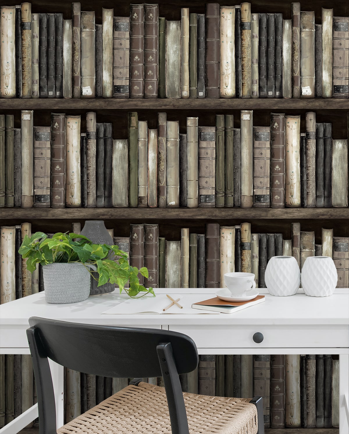 Harry & Grace  Faux Bookshelves Illustration Eclectic Brown   - HG13200