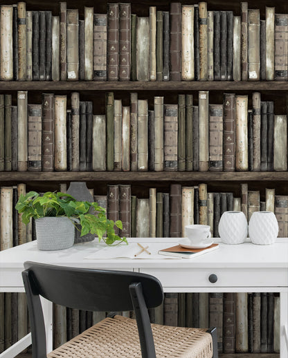 Harry & Grace  Faux Bookshelves Illustration Eclectic Brown   - HG13200