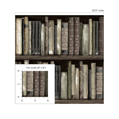 Harry & Grace  Faux Bookshelves Illustration Eclectic Brown   - HG13200