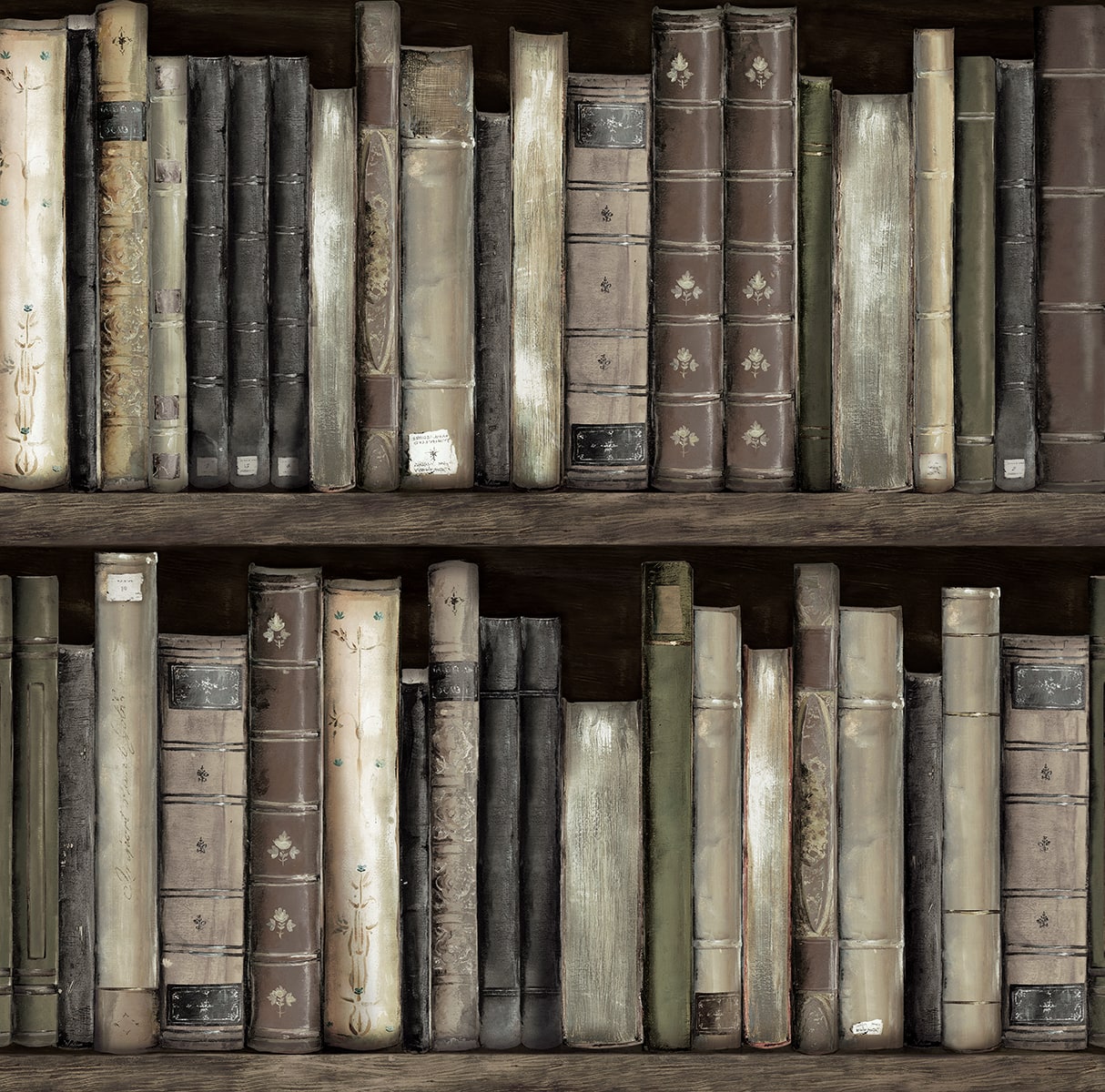 Harry & Grace  Faux Bookshelves Illustration Eclectic Brown   - HG13200