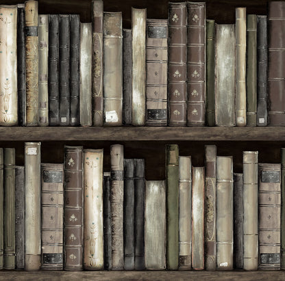 Harry & Grace  Faux Bookshelves Illustration Eclectic Brown   - HG13200