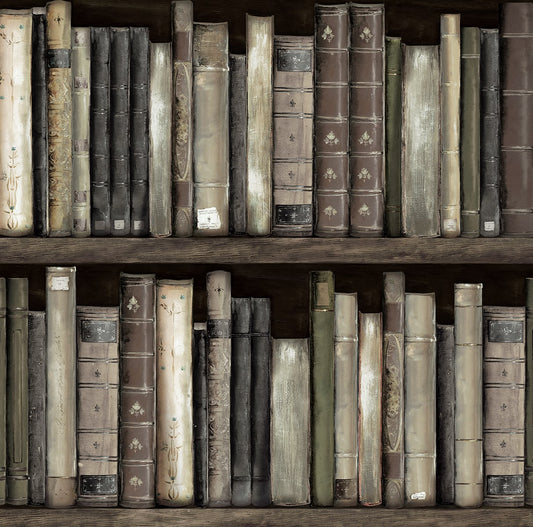 Harry & Grace  Faux Bookshelves Illustration Eclectic Brown   - HG13200