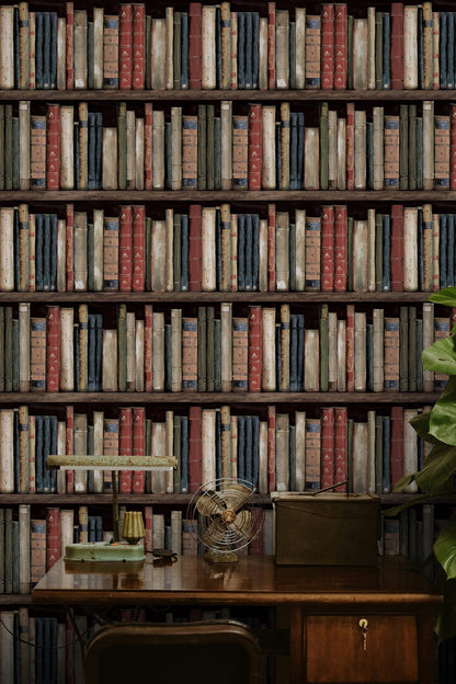 Harry & Grace  Faux Bookshelves Illustration Eclectic Multicolored   - HG13205