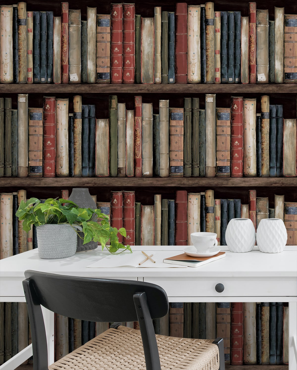 Harry & Grace  Faux Bookshelves Illustration Eclectic Multicolored   - HG13205