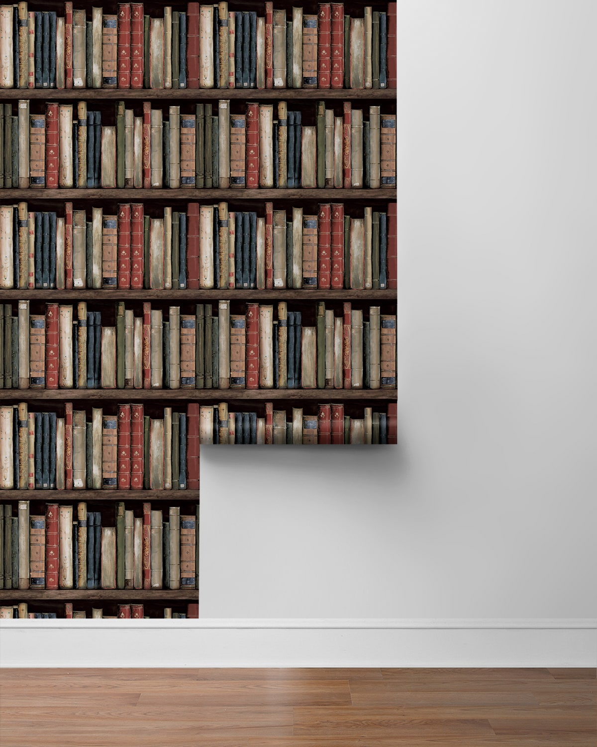 Harry & Grace  Faux Bookshelves Illustration Eclectic Multicolored   - HG13205