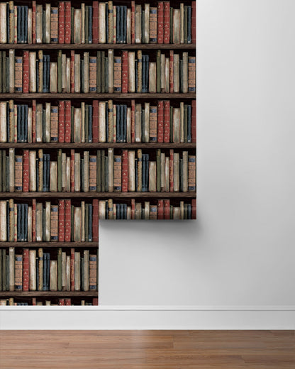 Harry & Grace  Faux Bookshelves Illustration Eclectic Multicolored   - HG13205