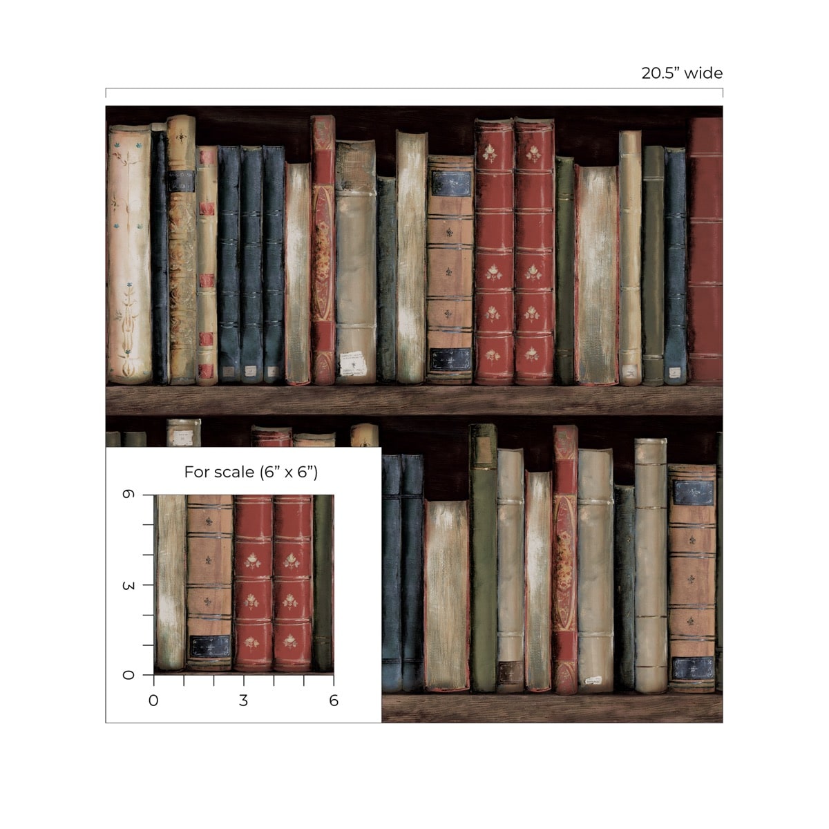 Harry & Grace  Faux Bookshelves Illustration Eclectic Multicolored   - HG13205