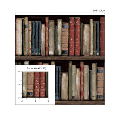 Harry & Grace  Faux Bookshelves Illustration Eclectic Multicolored   - HG13205