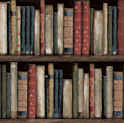 Harry & Grace  Faux Bookshelves Illustration Eclectic Multicolored   - HG13205