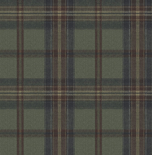 Harry & Grace  Herringbone Plaid Plaid Traditional Multicolored   - HG13704