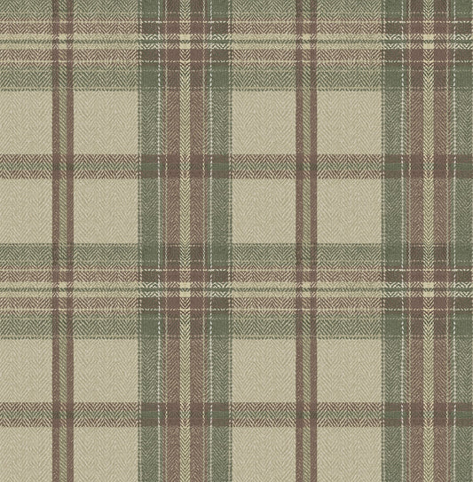 Harry & Grace  Herringbone Plaid Plaid Traditional Multicolored   - HG13707