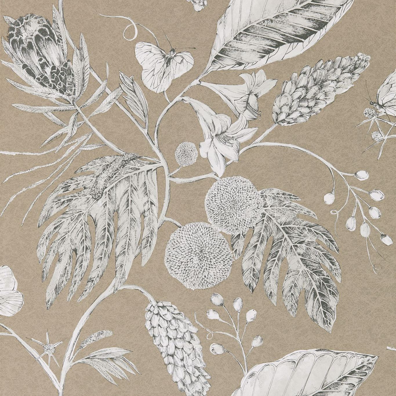 HARLEQUIN Amborella Wallpaper Leaves , Trees Pebble  Gravure Printed Wallpaper - HGAT111222
