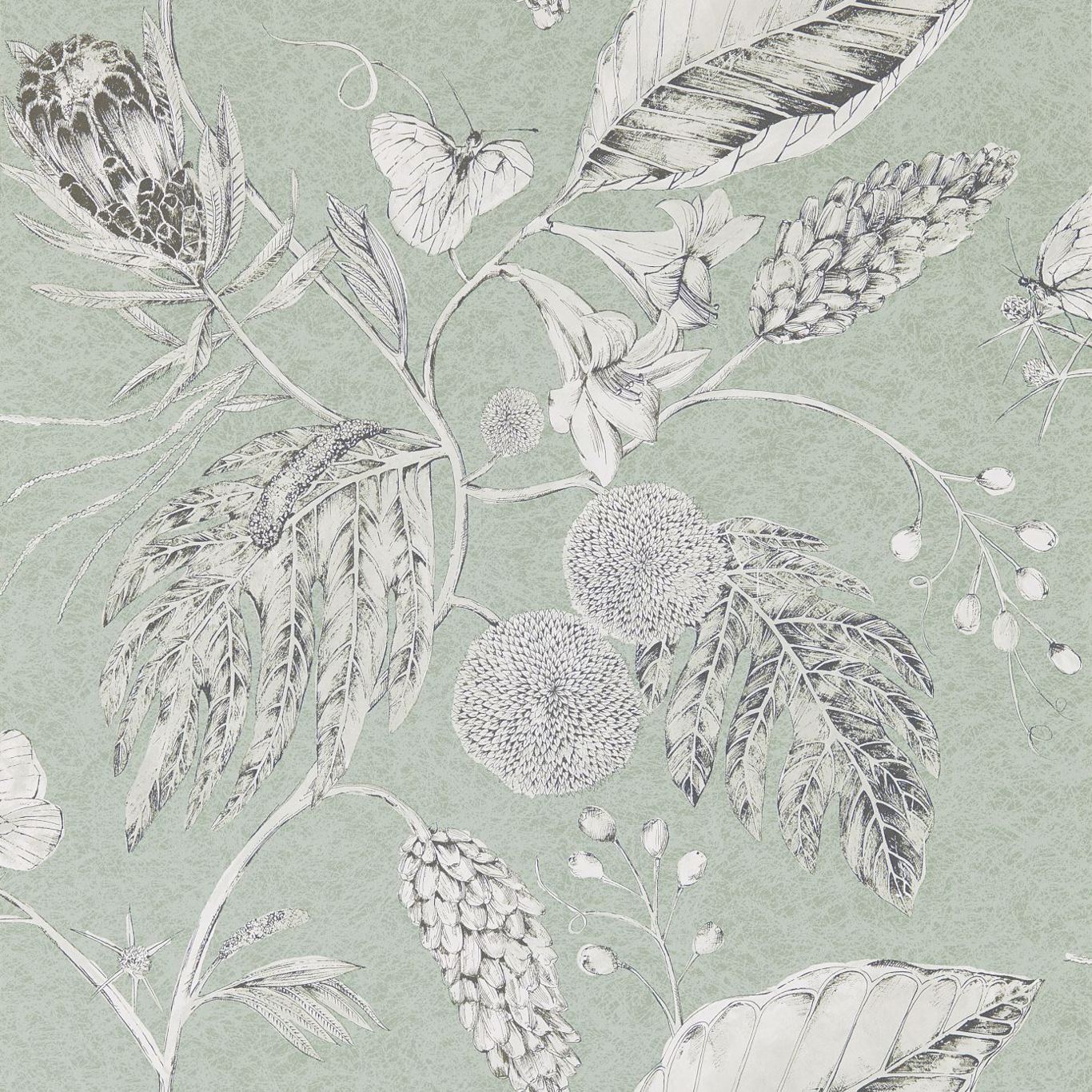 HARLEQUIN Amborella Wallpaper Leaves , Trees Seaglass  Gravure Printed Wallpaper - HGAT111224