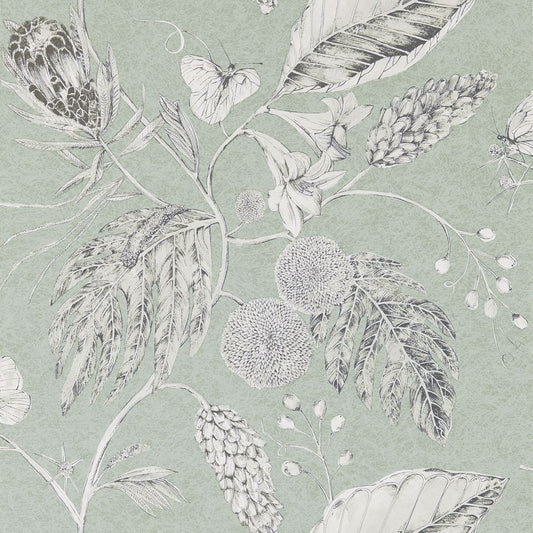 HARLEQUIN Amborella Wallpaper Leaves , Trees Seaglass  Gravure Printed Wallpaper - HGAT111224