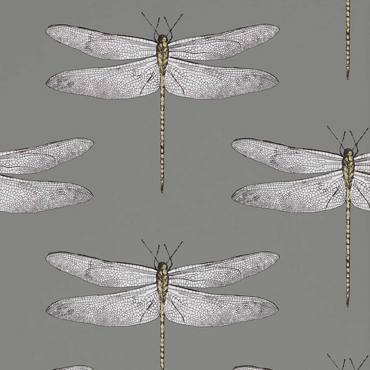 HARLEQUIN Demoiselle Wallpaper Other Graphite,Almond  Rotary/Gravure Wallpaper - HGAT111242